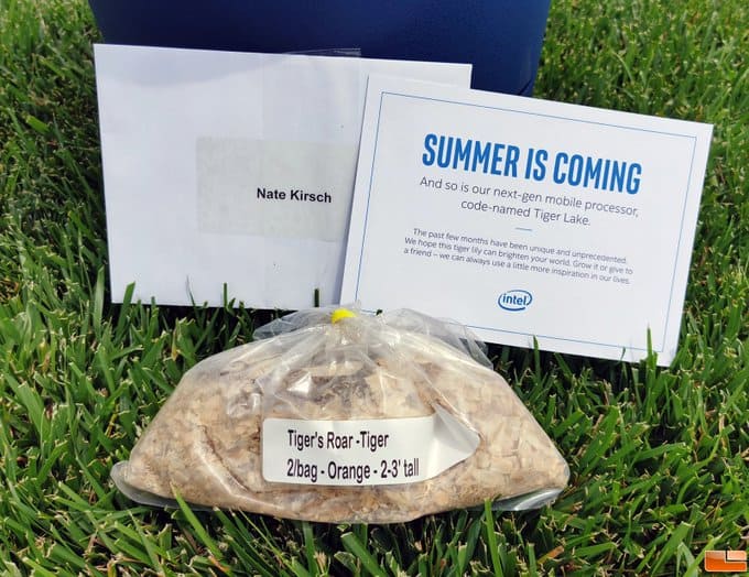 Intel Sends Out “The Tiger Roars!” Marketing Kits To Promote Tiger Lake CPUs