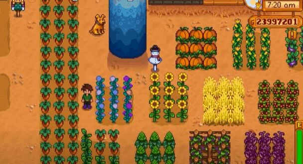 Stardew Valley Patch Notes fixes bugs and crashes