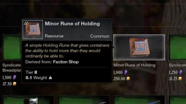 Minor Rune of Holding in New World – What Is It & How To Get