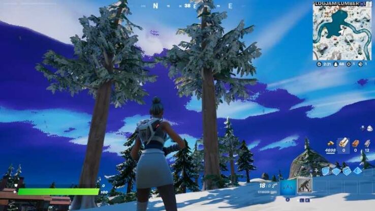 Fortnite Timber Pines: How to find and complete the knock down challenge