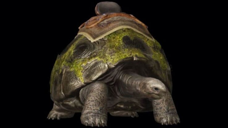 The Lost Ark Turtle mount is easy to get – here’s how
