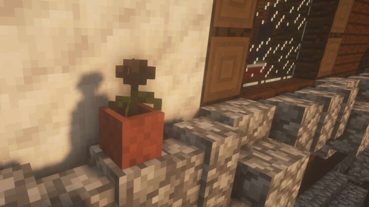 How to Get Wither Rose in Minecraft