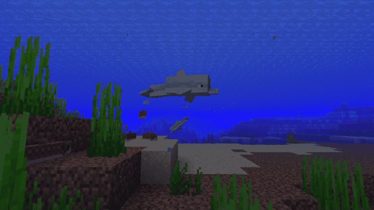 Can you tame Dolphins in Minecraft?