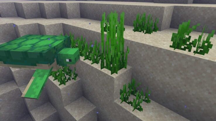 How to get Seagrass in Minecraft