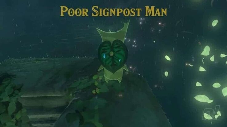 Zelda players are now tormenting the signpost man