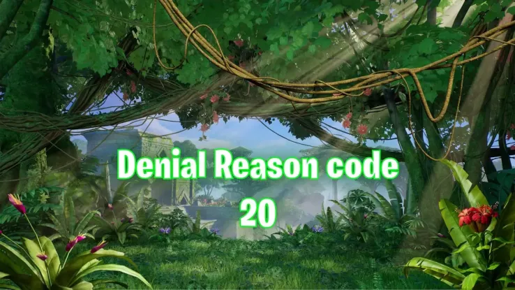 Fortnite Denial Reason code 20 how to fix it and what does it mean?