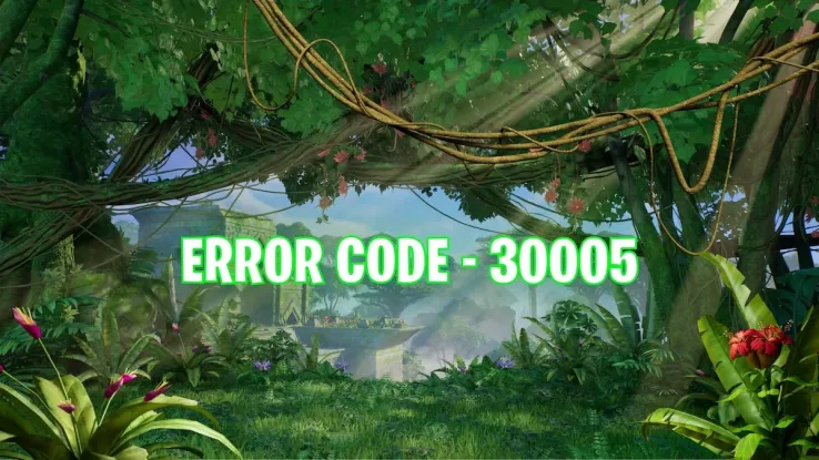 Fortnite Error Code 30005 what does it mean and how to fix?
