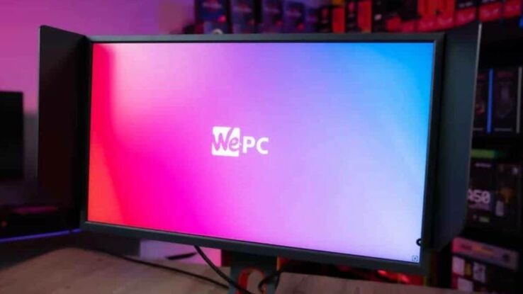 What monitors do pro gamers use? Pro players monitors explained